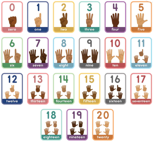 Numbers Bulletin Board Set The Learning World