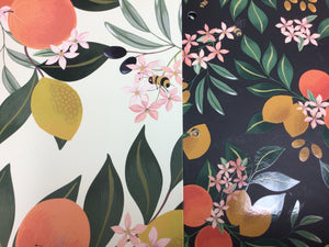 Citrus 2 Pocket Folder - single