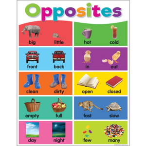 Colorful Opposite Chart