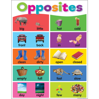 Colorful Opposite Chart