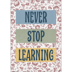 Never Stop Learning Positive Poster