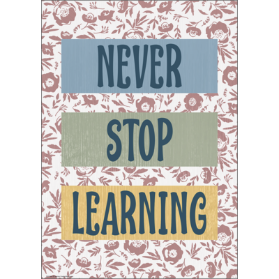Never Stop Learning Positive Poster