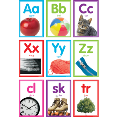 Colorful Photo Alphabet Cards Bulletin Board