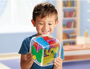 The Maze Cube