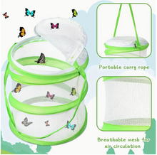 Load image into Gallery viewer, Insect Habitat Cage
