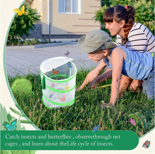 Load image into Gallery viewer, Insect Habitat Cage
