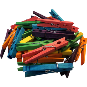 STEM Basics Multicolor Clothespins
