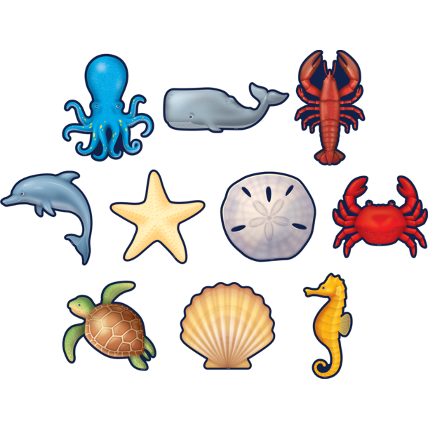 Nautical Sea Life Accents