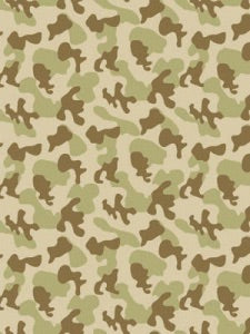 Fadeless Paper Desert Camouflage 48"x12' (long roll)