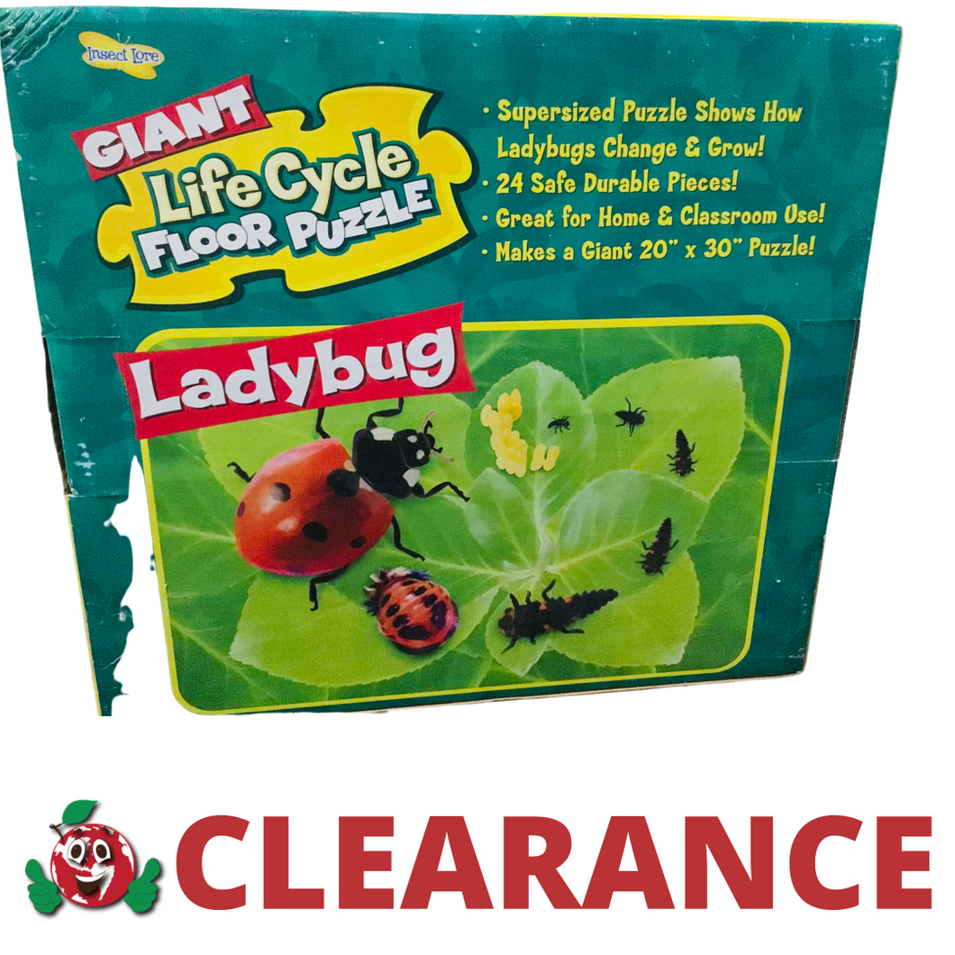 Ladybug Lifecycle Floor Puzzle